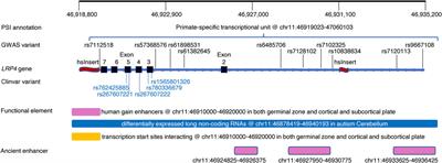 Leveraging primate-specific genomic information for genetic studies of complex diseases